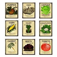 Seed Packet Favors Seeds Seed Packets Vintage Seed Packets