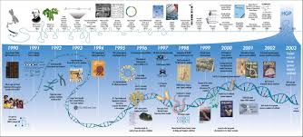 Human Genome Project Human Genome Genome Project Biology Resources