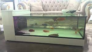 My Coffee Table Aquarium Fish Tank Stingrays Desain Akuarium Coffee Table Akuarium