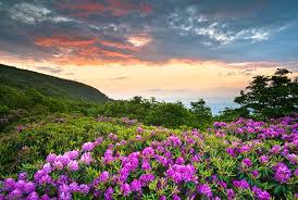 Last updated on july 2, 2021. 16 Top Rated Attractions Things To Do In Asheville Planetware