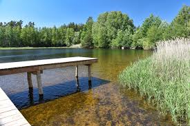 Image result for v no%u010Dn  p%u0159 n %u010Dka