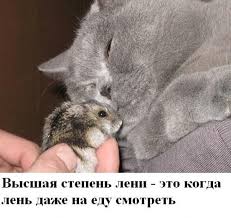 Каждый день на территории российской федерации и в разных все желающие могут лениво поздравить друг друга с этим праздничным событием. 262 366 20 Avgusta Vsemirnyj Den Leni Pikabu