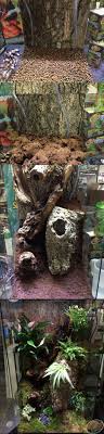 Diy Terrarium Made With Zoo Med Waterfall Kit Hydro Balls Frog Moss And Live Plants Reptile Habitat Reptile Enclosure Diy Reptile