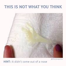 It S A Mucus Plug Aka A Show Now I M Going To Put My Hand Up Here And Say This Is Not What I Was Expecting When I T Mucus