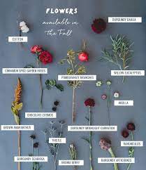 15 fall wedding bouquet ideas and which flowers they're made with. Seasonal Flower Guide Fall Flower Guide Seasonal Flowers Fall Flowers