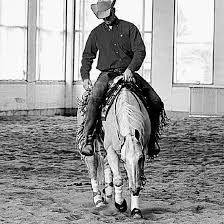 Profile for Masterson Performance Horses