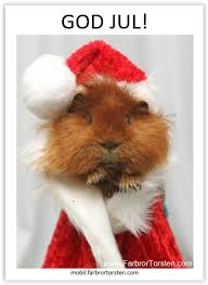 Vi har tomtar och vättar online. Roliga Julkort Farbror Torstens Humorsajt