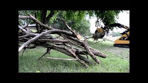 Tree service near me free wood chips. Free Wood Chips From Recycled Tree Waste Tree Removal Springfield Mo All About Trees Youtube