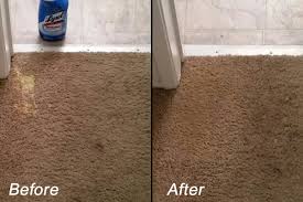 It was a very good experience. Carpet Dyeing Bleach Stain Repairs Carpet Dye Kits