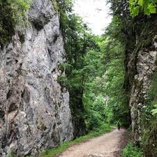 Aici vei gasi, printre altele, pajisti alpine si subalpine pe substrat calcaros, tufarisuri de pinus mugo si rhododendron myrtifolium, fanete montane, paduri acidofile montane de molid si. Parcul NaÈ›ional Piatra Craiului