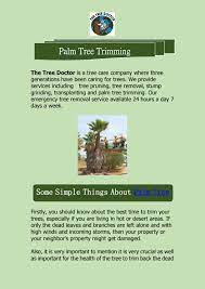 Maybe you would like to learn more about one of these? How To Trim A Palm Tree The Tree Doctor By The Tree Doctor Issuu