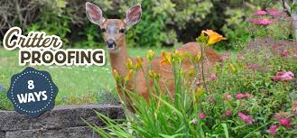 Plant flowers that rabbits & deer won't eat. 8 Ways To Critter Proof Your Fall Bulb Plantings