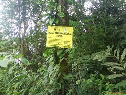 Keindahan alam dan berekreasi di hutan lipur relaks minda. Keluasan Hutan Simpan Kekal Bertambah Mynewshub