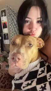 Help with leash training for high-energy puppy