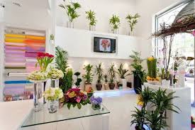 First Case Study Decoracion De Floristeria Tiendas Florales Tiendas De Flores