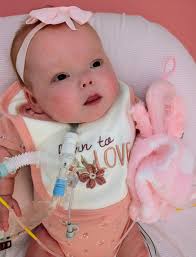 Our family welcomed a baby girl, Callie Joy Maple, into the world