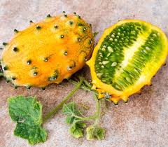 Image result for Cucumis meeusei