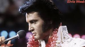 Walk a Mile in My Shoes (Live)