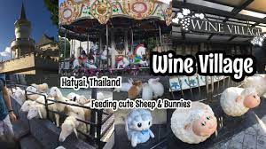 Wine Village In Hatyai Thailand Feeding Cute Sheep Bunnies Youtube