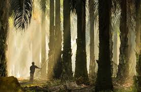 Company profile page for premium vegetable oils sdn bhd including stock price, company news, press releases, executives, board members, and bhd. Rs Eco Palm Leading The Malaysian Palm Oil Industry Rs Eco Palm Sdn Bhd