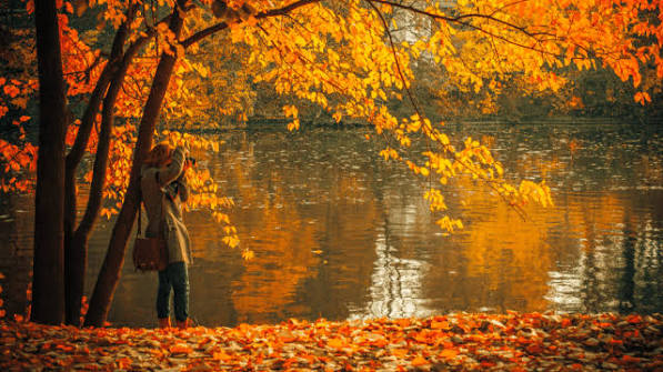 Why Is Autumn The Only Season With Two Names?