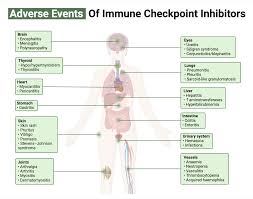 Image result for Immune Checkpoint Inhibitor