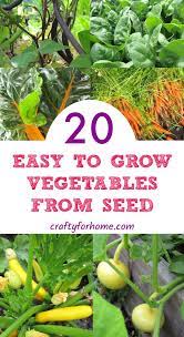 20 Easy To Grow Vegetables From Seed Easy Vegetables To Grow Growing Vegetables From Seeds Growing Vegetables In Pots
