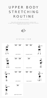 Muscles chart description muscular body man. Upper Body Stretching Routine