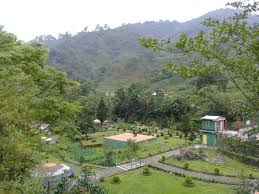 Home garden has one of the best gardening crews in the hood. Vamoose Jharna Tabakoshi Mirik Updated 2021 Prices