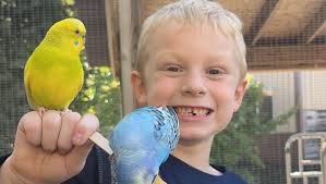 Fundraiser by Katy Howard : Noah's Battle With Brain Cancer