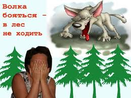 что значит пословица волков бояться в лес не ходить Volka Boyatsya V Les Ne Hodit Skuchen Den Bez Konkursa Kak Kamera Bez Fokusa Fotokonkursy