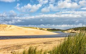 Les landes de gascogne, réparties sur trois départements, forment un vaste territoire : Au Fil Du Courant D Huchet Des Paysages Secrets Se Devoilent