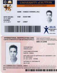 Bendelladj and russian computer hacker aleksandr panin were sentenced in the u.s. Algerian Hacker Arrested By Thai Police Believed To Be Zeus Botnet Master