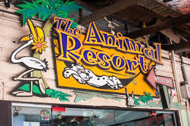 81 seletar west farmway 5, singapore 798058 opening hours: Kampong Style Fun At The Animal Resort Singaporemotherhood Com