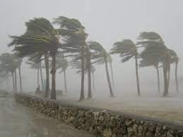 Hurricanes begin life as a small gathering of unorganized storms which gain energy from the heat of the ocean water. Hurricane And Typhoon Facts For Kids