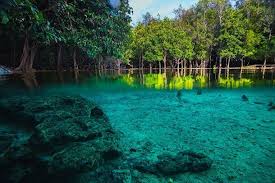 Antara tempat menarik di krabi. 30 Tempat Menarik Di Krabi Syurga Pencinta Pulau Pantai Pasir Putih