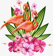 Tropical Plant Material Tropical Plants Flowering Plant Petal Png Transparent Clipart Image And Psd File For Free Download Tropical Art Tropical Background Flamingo Art