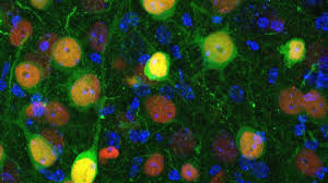 Prepare for Angela Alvarez's hottest leaked content