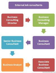 Senior financial consultant(s), senior financial analyst(s) sehlke position title: Consultant Jobs Hierarchy Levels And Roles In Management Consulting Firms