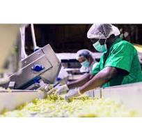 FSSC 22000 - Delivering trust and impact for global food safety