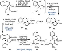 Image result for Tricalysia niamniamensis