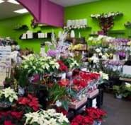 Jerry cornelius — i'll twine mid the ringlets (wildwood flower) 02:34. Fresh Blooms Opening Hours 5956 200 St Langley Bc