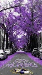 Pin On Passion Sharing an inspiring good morning image can spread our. pin on passion