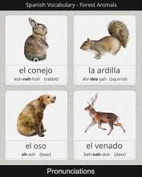 By doing so, you show interest and consideration to the person and you open up your way to continue the conversation. 70 Learning Spanish Ideas In 2021 Learning Spanish Korean Language Spanish Language