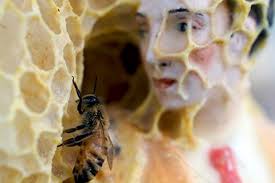 Artists and Animals 'Collaborate' in TriBeCa Exhibition