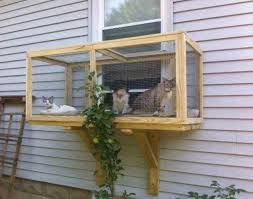 Screened Cat Porches Are A Great Way To Keep Your Kitty Safe In 2020 Outdoor Cat Enclosure Cat Window Perch Outdoor Cats