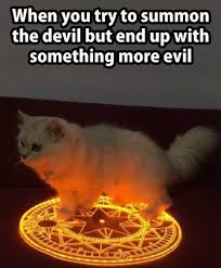 Discover the magic of the internet at imgur, a community powered entertainment destination. Funny Caturday Cat Meme Post Album On Imgur