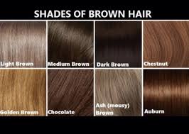 28 Albums Of Mousy Brown Hair Colour Chart Explore