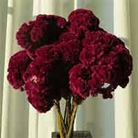 We don't offer a separate wholesale account but the bigger the pack the better the price. Dried Flowers Wholesale