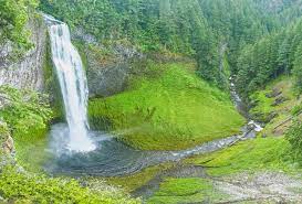 And whether you want to see a plunge, punch bowl, or collection of cascading drops, each season adds a different view and reason to visit. Salt Creek Falls Waterfall Hiking With Kids What To Do In Southern Oregon